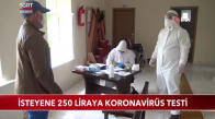 İsteyene 250 Liraya Koronavirüs Testi