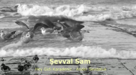 Şevval Sam - Hey Gidi Karadeniz 