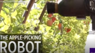 Yeni Elma Toplama Robotuyla Tanışın