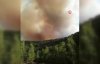 Ankara'da orman yangını 