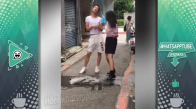 Komik Videolar