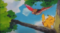 Pikachu'nun Masum Spearow'a Saldırması 