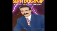 Seyfi Doğanay - Şu Yalan Dünyaya Geldim