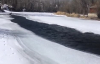 Donmuş Nehirde Mahsur Kalan Geyiğin Kurtarılması