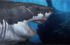 18 Metrelik Köpek Balığı Megalodon
