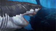 18 Metrelik Köpek Balığı Megalodon
