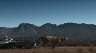 Çita İle Formula E Aracı Drag Yarışıyor