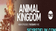   Animal Kingdom 1. Sezon 9. Bölüm izle