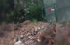 Rize'de şiddetli yağış heyelana neden oldu