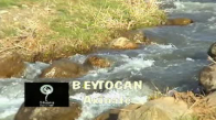 Beytocan - Axinate Nalinamin 
