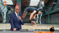 Türkiye'nin tek kadın nalbantı!