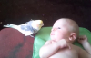 Papağan Karşısında Şoka Uğrayan Bebek