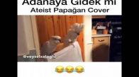 Adanaya Gidek mi - Ateist Papağan Cover