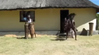 Afrikalılardan Harika Dans
