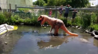 T-Rex Kostümüyle Timsaha Meydan Okumak