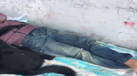 Sokak Köpeğine Sarılıp Uyuyan Çocuk