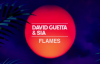 David Guetta & Sia - Flames (Teaser)