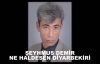 Şeyhmus Demi̇r - Ne Haldesen Di̇yarbeki̇r