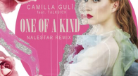 Camilla Gulì Feat. Talksick - One Of A Kind (Nalestar Remix)