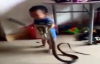Yılanla Oynayan Küçük Çocuk