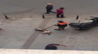 Sokak Köpeğini Süpürgesiyle Mutlu Eden Temizlik İşçisi