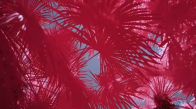 Zedd Liam Payne Get Low (Infrared)