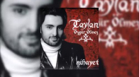 Taylan Özgür Ölmez - Sevgi Yetmiyor