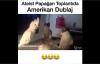 Ateist Papağan Toplantıda - Amerikan Dublaj