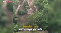 Amasya'da heyelan ağaçları yerinden söktü, o anlar kameraya yansıdı