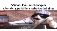 Dj Yapan Kedi