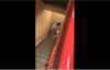 Sarhoş Kızın Merdivenlerle İmtihanı