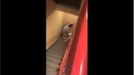 Sarhoş Kızın Merdivenlerle İmtihanı