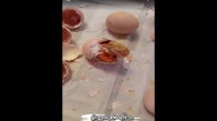 Bir Civcivin Yumurtadan Çıkışı