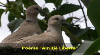Poème  Amitié Liberté  Friendship Freedom  Musique 