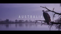 Kartalın Gözünden Avustralya'daki Doğal Yaşam