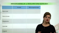 EBA BİYOLOJİ LİSE - CANLILARIN SINIFLANDIRILMASI VE CANLI ALEMLERİ - HAYVANLAR ALEMİ - MİKROORGANİZMALARIN KARŞILAŞTIRILMASI - MİKROORGANİZMALAR VE VİRÜSLERİN KARŞILAŞTIRILMALARI