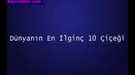 Dünyanın En İlginç 10 Çiçeği