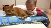 Bebeklerin Kedilerle Oynamaları