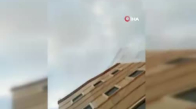 Üniversite Kampüsünde Başıboş Köpek Dehşeti