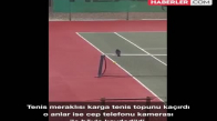 Tenise Merak Saran Karga