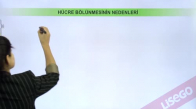 EBA BİYOLOJİ LİSE - HÜCRE BÖLÜNMELERİ - MİTOZ VE EŞEYSİZ ÜREME - HÜCRE BÖLÜNMELERİNE GİRİŞ - HÜCRE BÖLÜNMESİNİN NEDENLERİ