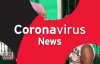 Corona Virüse Karşı Kartonlu Önlem Alan Babaanne 