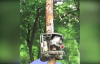 Ağaca Tırmanarak Tıraşlayan Robot