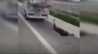 Bu Vicdansızlara Kim Dur Diyecek