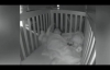 2 Yaşındaki Bebeğin Uykusunda Tezahürat Yapması