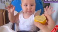 İlk Defa Limon Yiyip Şebeğe Dönen Bebekler