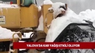 Yalova'da Kar Yağışı Etkili Oluyor