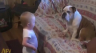 Köpeğe Birşeyler Anlatmaya Çalışan Bebek