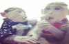 Lolipop Ağzında Sevimli Maymunlar 