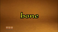 Bone izle - Video - Eğitim Bilişim Ağı